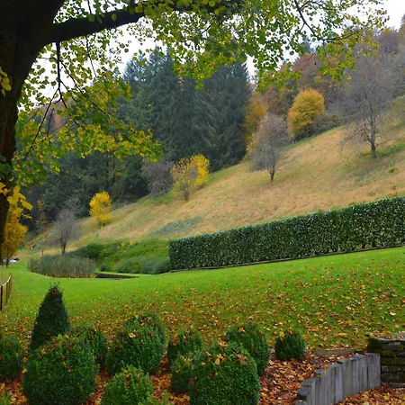 Holiday home Magnificent Manor In With Sauna Vresse-sur-Semois