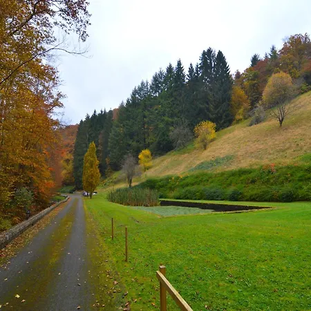 Magnificent Manor In With Sauna * Vresse-sur-Semois