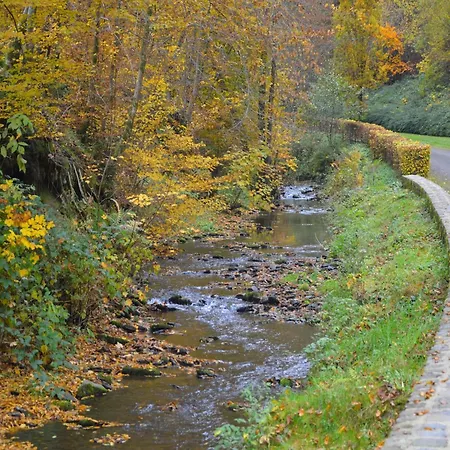 Magnificent Manor In With Sauna